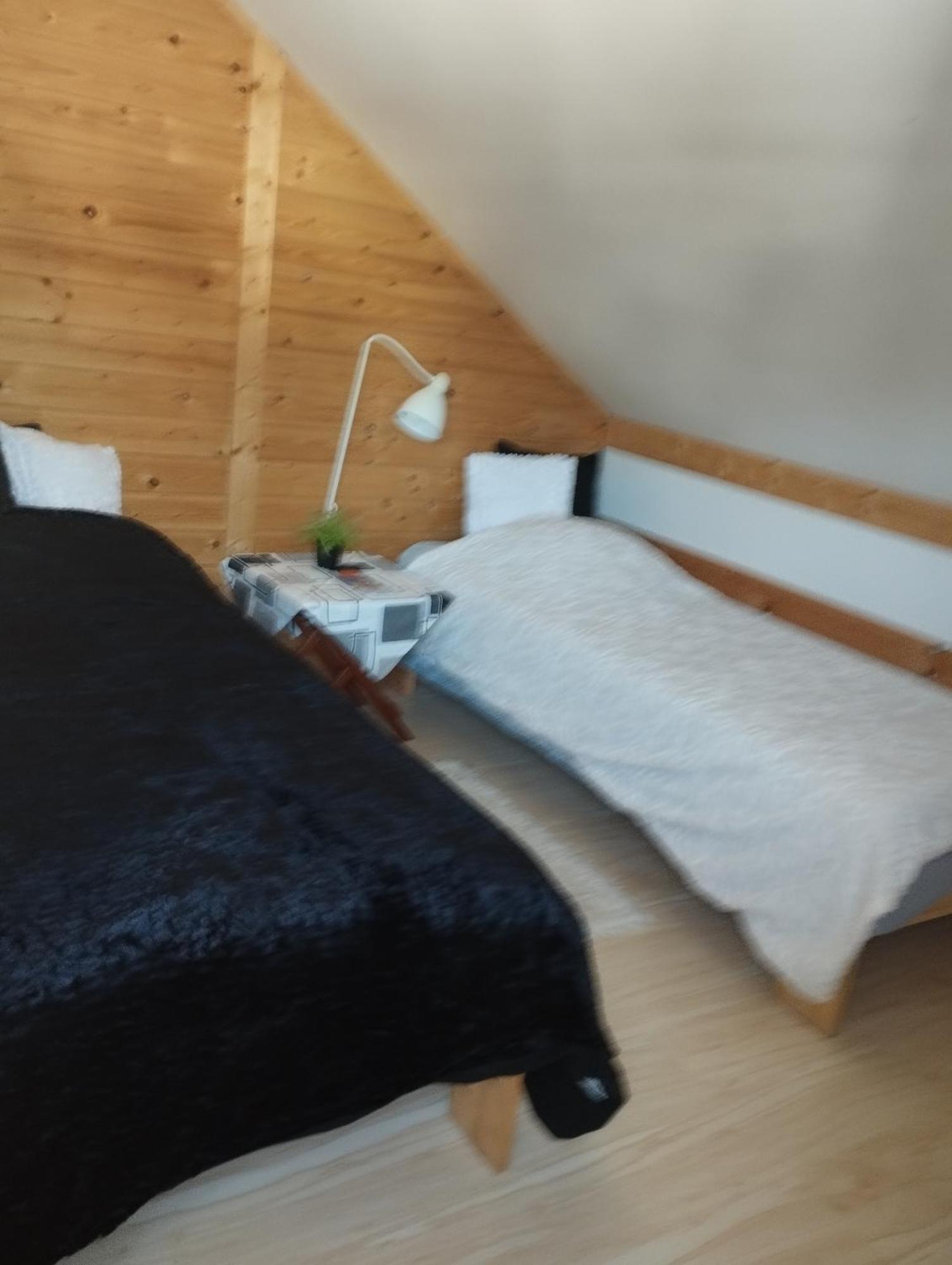 Apartament 4 Plus 1 W Karkonoszach 耶莱尼亚古拉 外观 照片